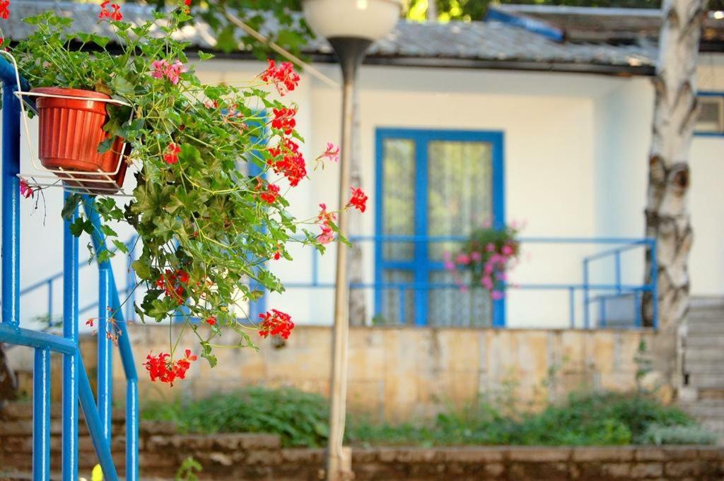 Комплекс Белите Къщи Shtarkelovo Gnezdo Exterior photo