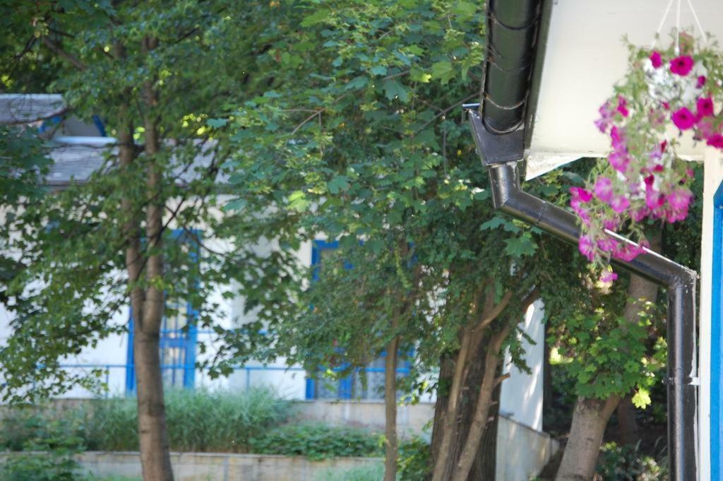 Комплекс Белите Къщи Shtarkelovo Gnezdo Exterior photo